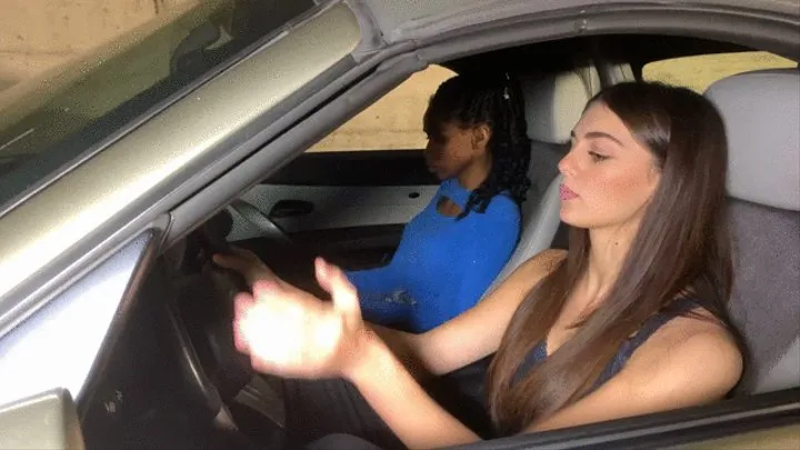 Gaia and Violet felony traffic stop actions