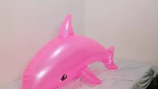 Rough sex inflatable dolphin punishment