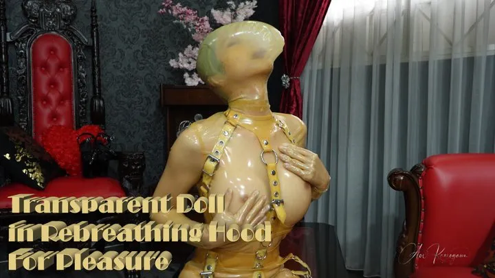 Transparent Doll in Rebreathing Hood For Pleasure