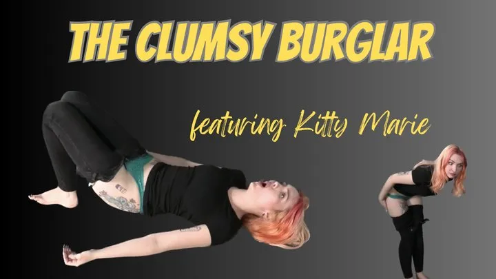 The Clumsy Burglar