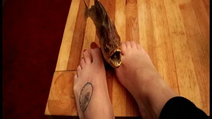 Feet and fish