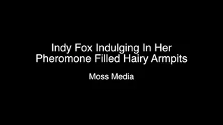Indy Fox Indulging In Her Pheromone Filled Hairy Armpits