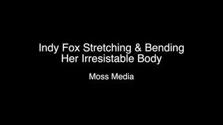 Indy fox stretching and bending her irresistible body