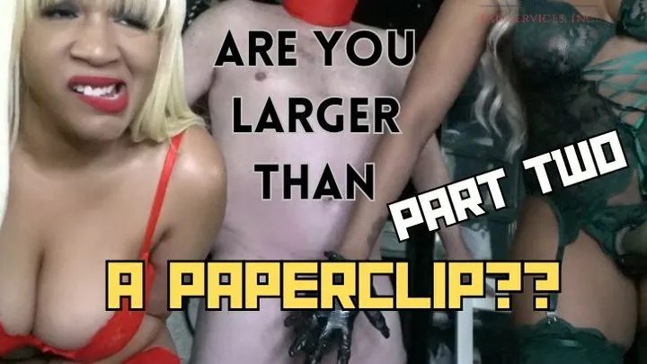 ARE YOU LARGER THAN A PAPERCLIP PART 2