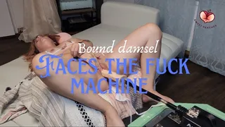 Damsel Endures the Fuck Machine