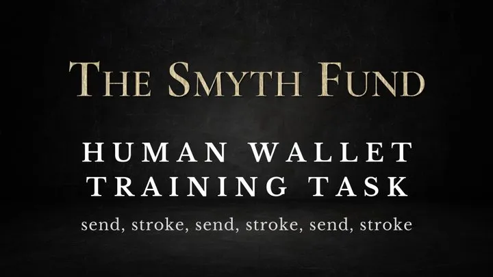 Human Wallet Training Task