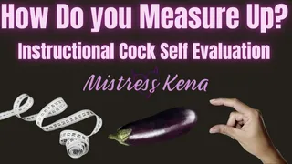 Instructional Cock Self-Evaluation: How Do you Measure Up?