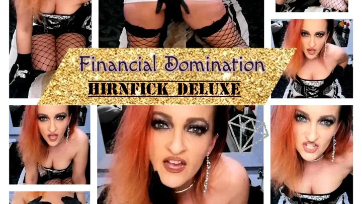 Financial Domination - Hirnfick Deluxe