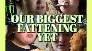 OUR BIGGEST FATTENING YET ???? (mutual gaining all day stuffing binge!)