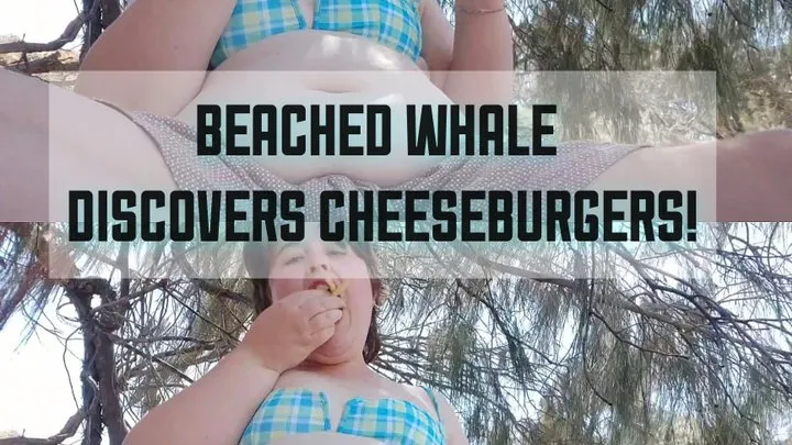 Beached whale discovers cheeseburgers!