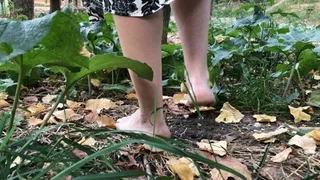 Barefeet walk!