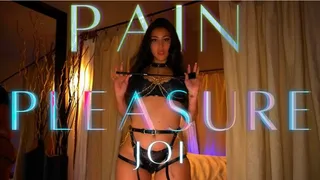 Pain & Pleasure JOI ( )