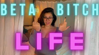 Beta Bitch Life