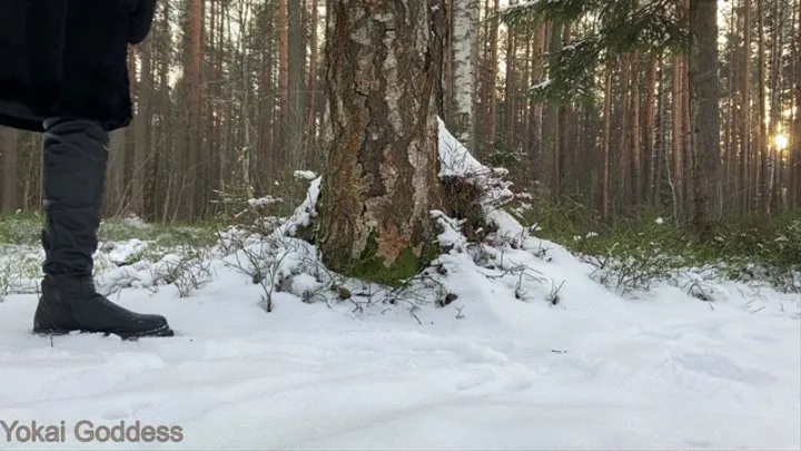 Walking in winter forest: part 3 - really cold trampling in the snow