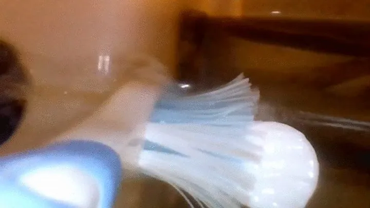 POV brushing teeth