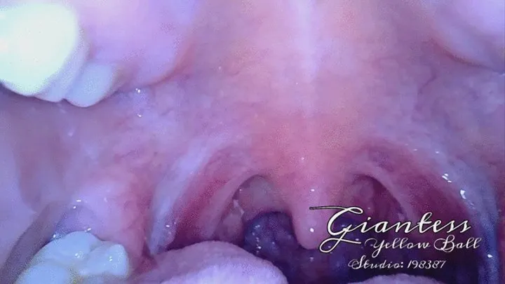 Endoscopic mouth tour