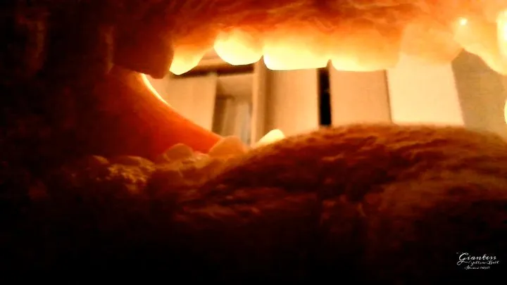 Inside mouth routin simulation