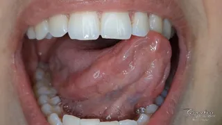 Mouth parts explaination