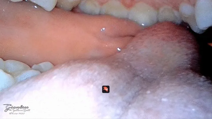 ASMR inside my mouth