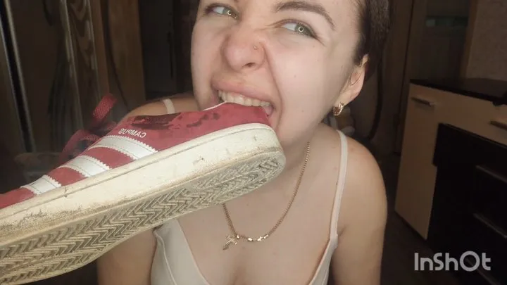 human pony girl chews shoes