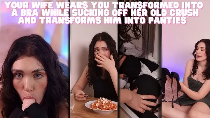 Wife Transformed them into Underwear