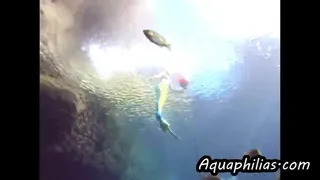 Aquaphilias- Carissa Dumond Mermaid Adventures