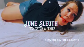 June Sleuth #2: To Catch a Thief