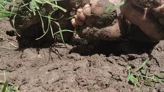 Goddess Samariel and Mistress Long Toenails foot fight in the mud