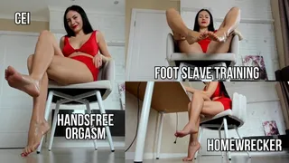 Foot slave training, homewrecker, handsfree orgasm, CEI - live stream