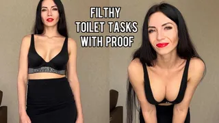 Filthy toilet tasks with proof