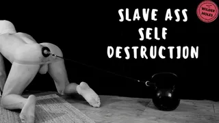 SLAVE ASS SELF DESTRUCTION - - Wilder Holes