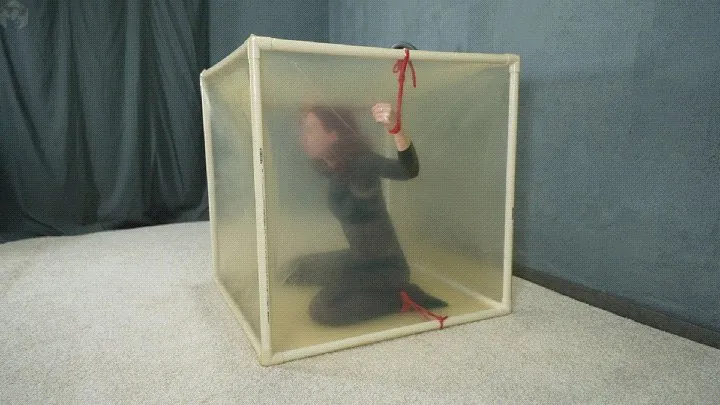 Bondage with red ropes to a transparent cube