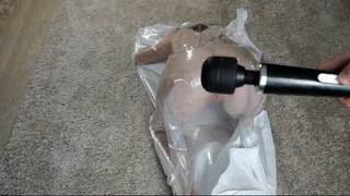 Cat pose and vibrator in a vacuum bag