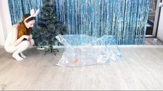 Vacuum bag Rabbit Trap