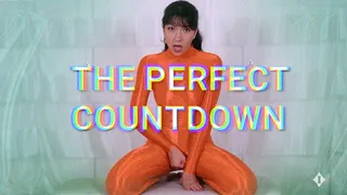 The Perfect Countdown