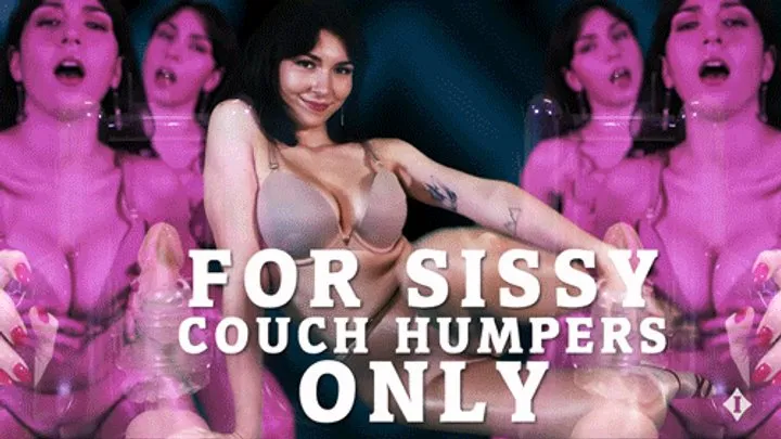 Sissy Bitchy Couch Humper