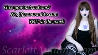 I won't be doing all the work for you - WMV