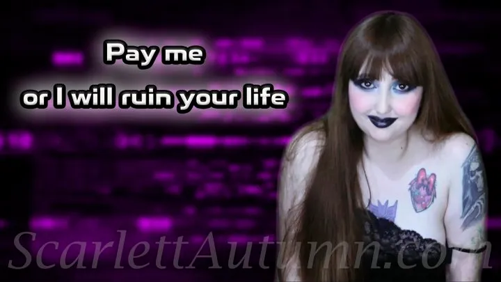 Pay me or I'll ruin your life - WMV