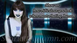 Show us how ridiculous you look when masturbating, human - WMV