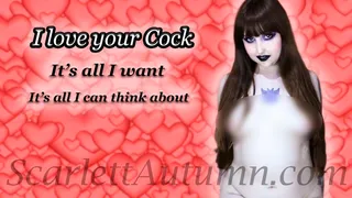 I love your Cock - WMV