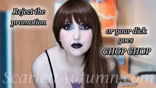 The promotion or your dick? - MP4