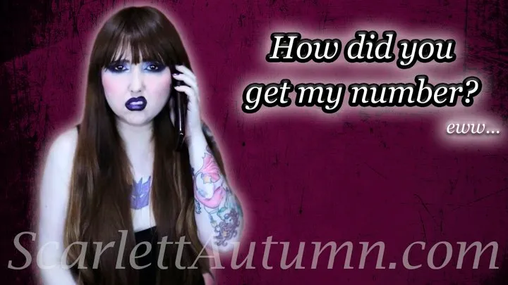 How did a loser like you get my number? - WMV