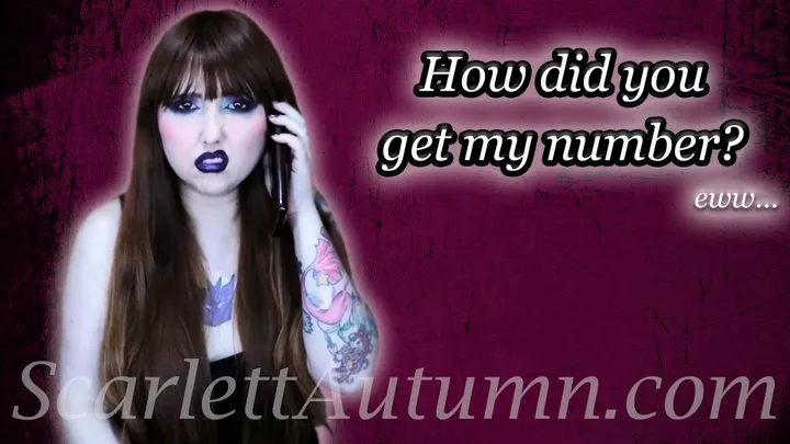 How did a loser like you get my number? - MP4