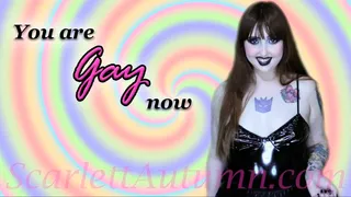 You are Gay now - WMV