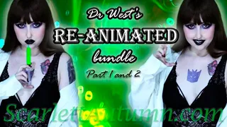 Re-Animated Gooning Bundle - Part 1 and 2 - WMV