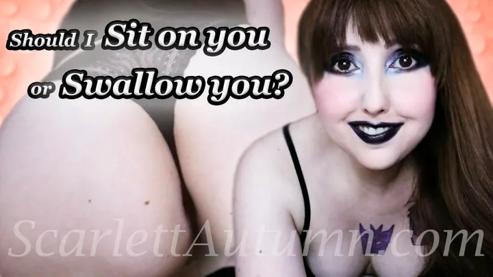 Should I sit on you or eat you? - WMV