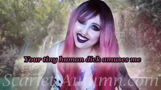 Your small dick amuses the Fairy Queen - MP4