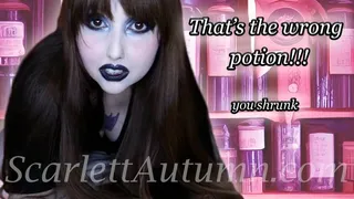 Don't! That's a shrinking potion! - WMV