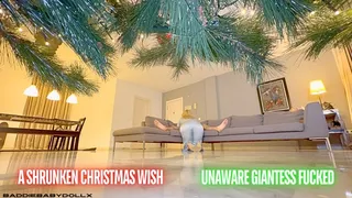 A Shrunken Christmas Wish - Unaware Giantess Fucked