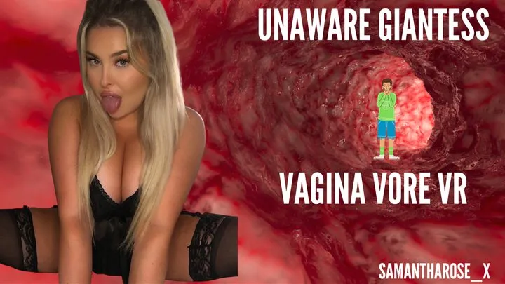 unaware giantess - vagina vore vr